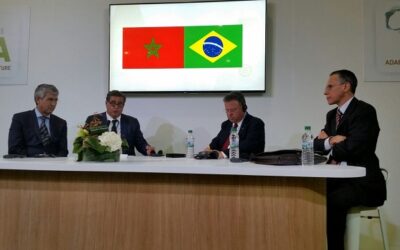 CCIBRA participa da COP22, em Marrakesh