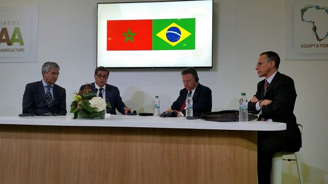 CCIBRA participa da COP22, em Marrakesh